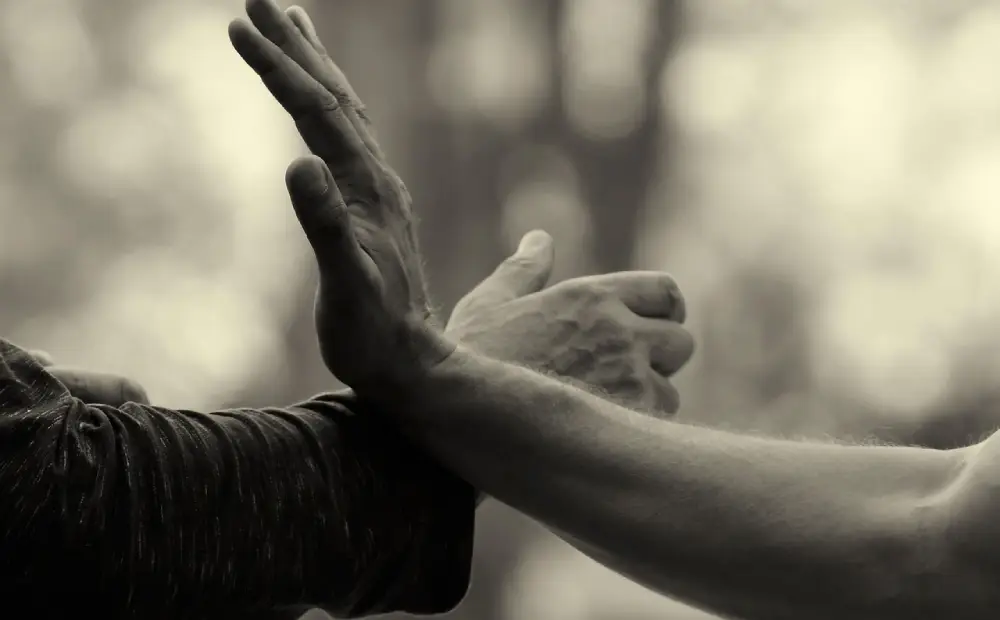 Activités du 20 au 24/10/2025